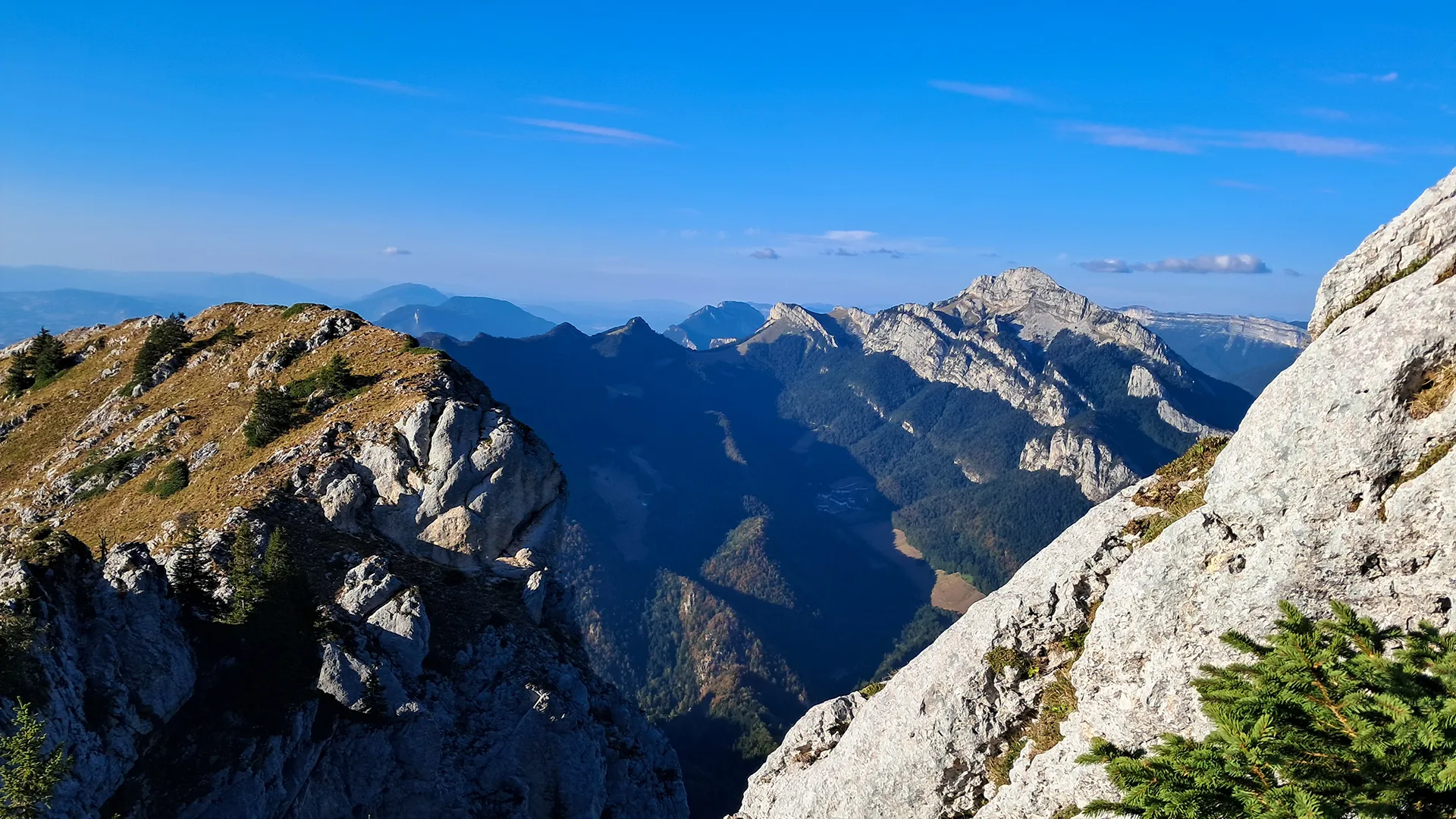 La Chartreuse en été