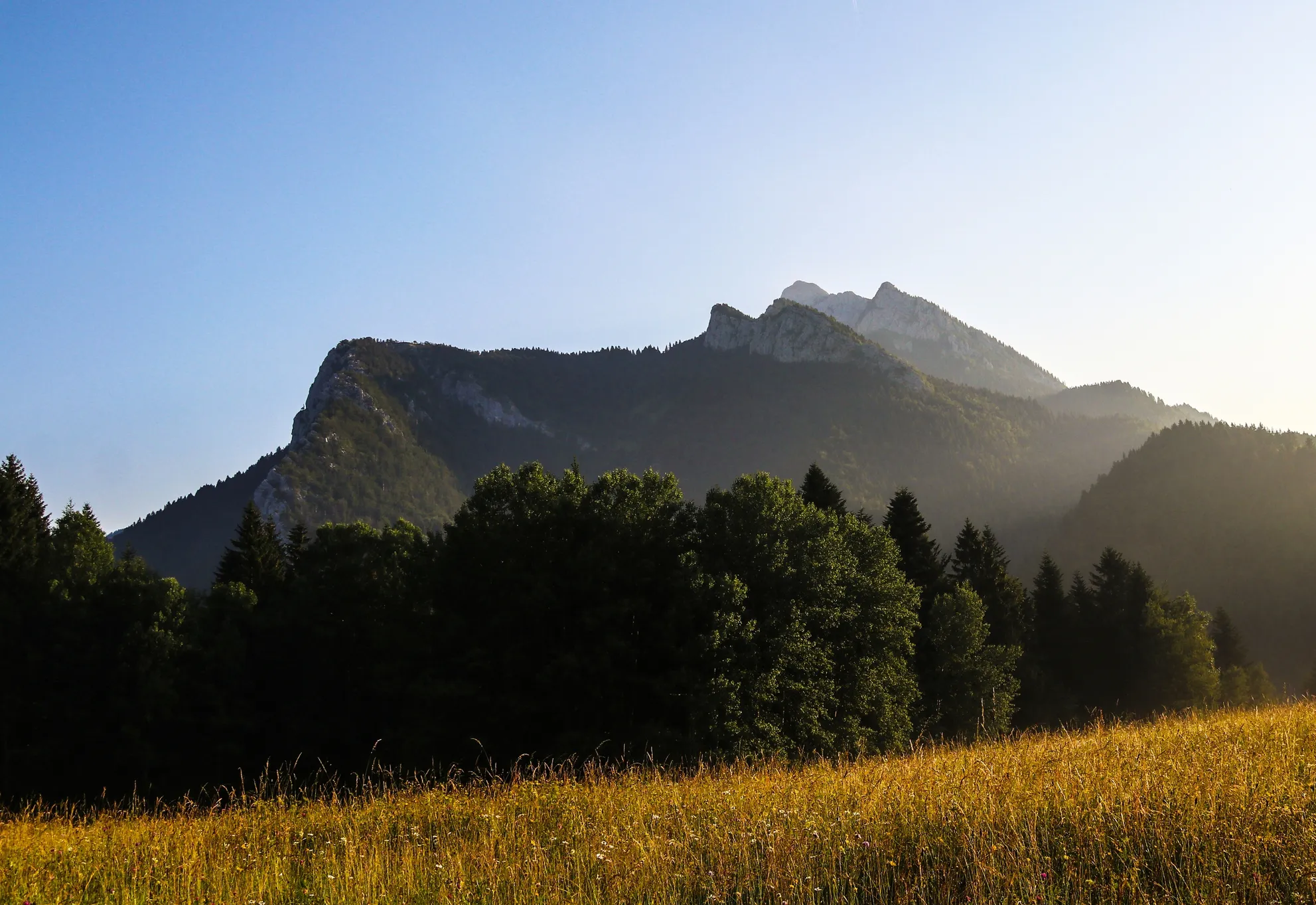 Paysage de CHartreuse en été avec le Grand Som