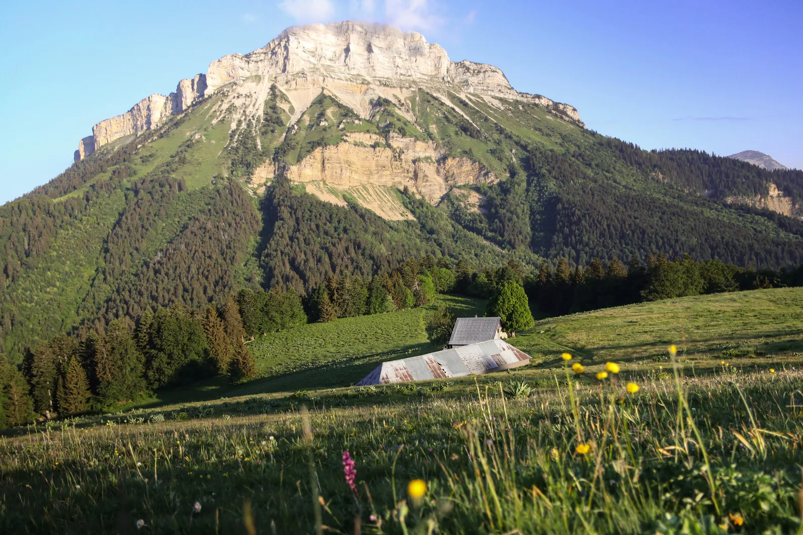 Chamechaude et alpage