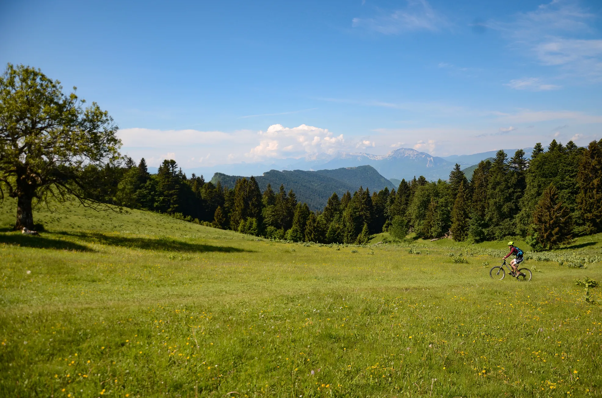 VTT en Chartreuse